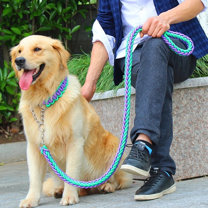 大型犬用の2本鎖の金属リーシュ,pチェーン,カラーコントラストのあるバックル,ペット用の牽引ロープ,長さ1.2m