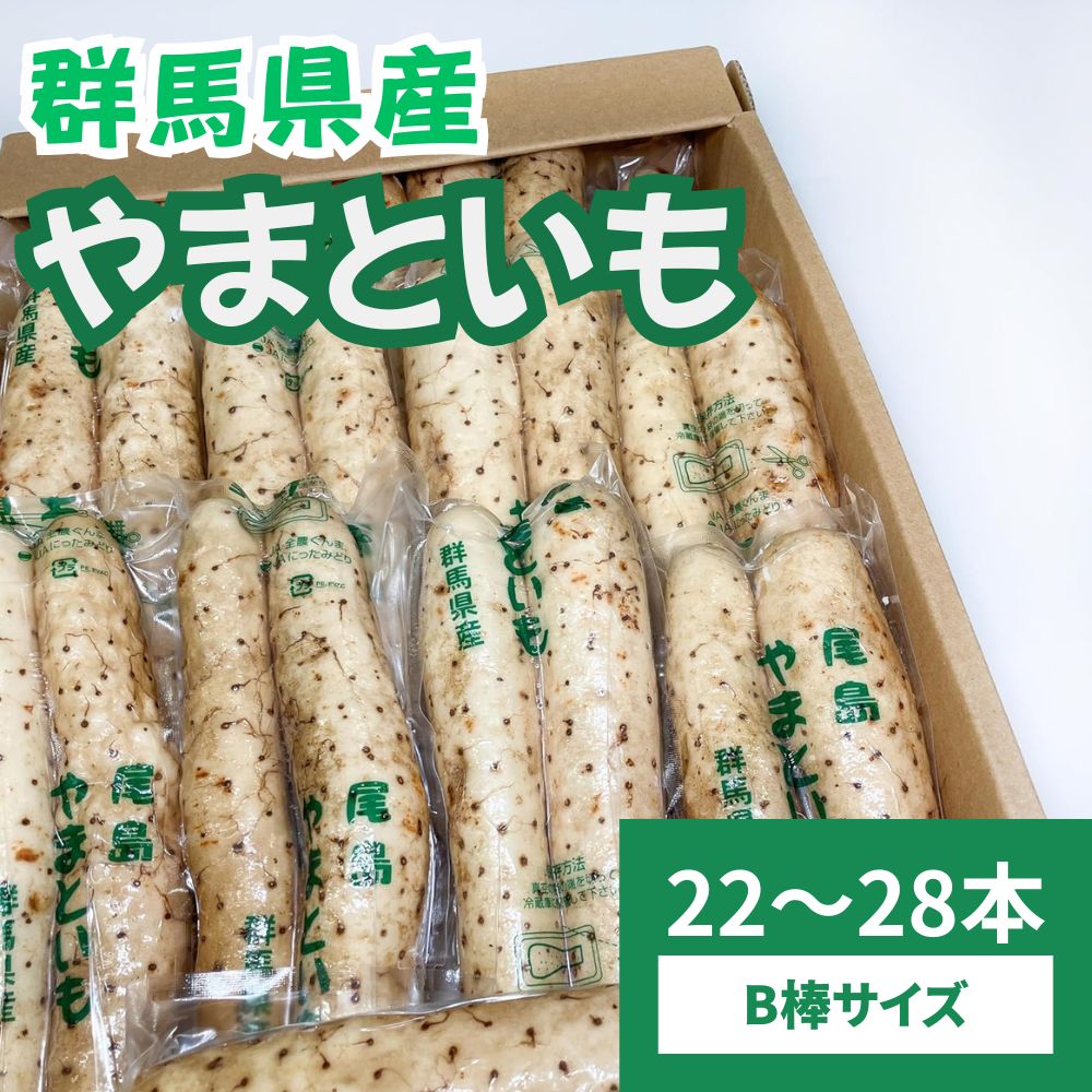 山芋 大和芋 やまといも 群馬県産 22～28本 B棒 1箱 とろろ 冷蔵 クール便 やまいも とろろ芋 箱 粘り 粘り抜群 箱買い