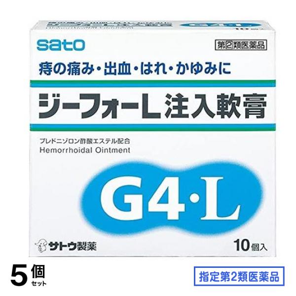 指定第２類医薬品 ジーフォーL注入軟膏 10個入 5個セット