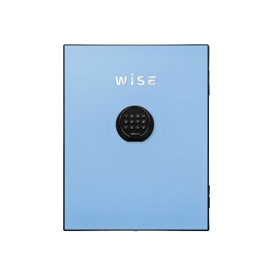 ディプロマット デジタルテンキー式 デザイン 金庫 (WiSE) 用フェイスパネル 内容量5Kg WS500FPB ライトブルー