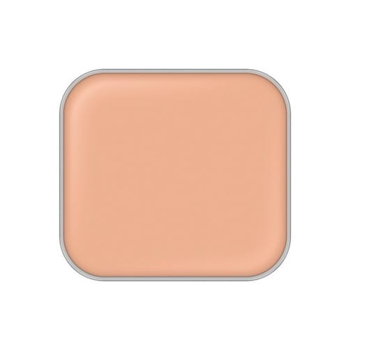 Al　bion　アンテリサンス ブライトエマルジョン ファンデーション　6色 SPF30 PA+++（レフィル）（ケース別売り）　正規品