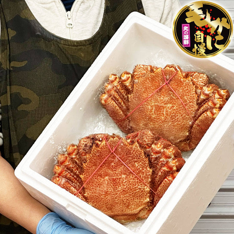 【超特大】毛ガニ 800g 前後×2尾セット 北海道産 姿 味噌 けがに 毛がに カニ 蟹 かに 脚 折脚たし脚入る場合があります