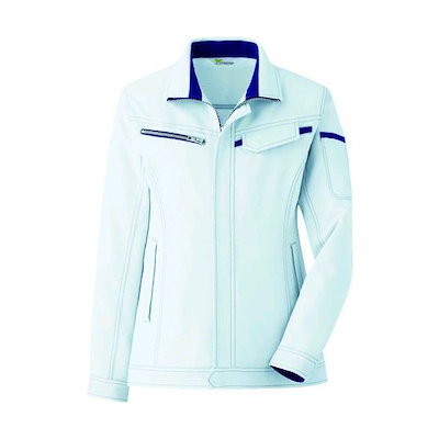 アイヌコタン 西田智三さん ドルフィン イルカ 天然石 フローライト蛍