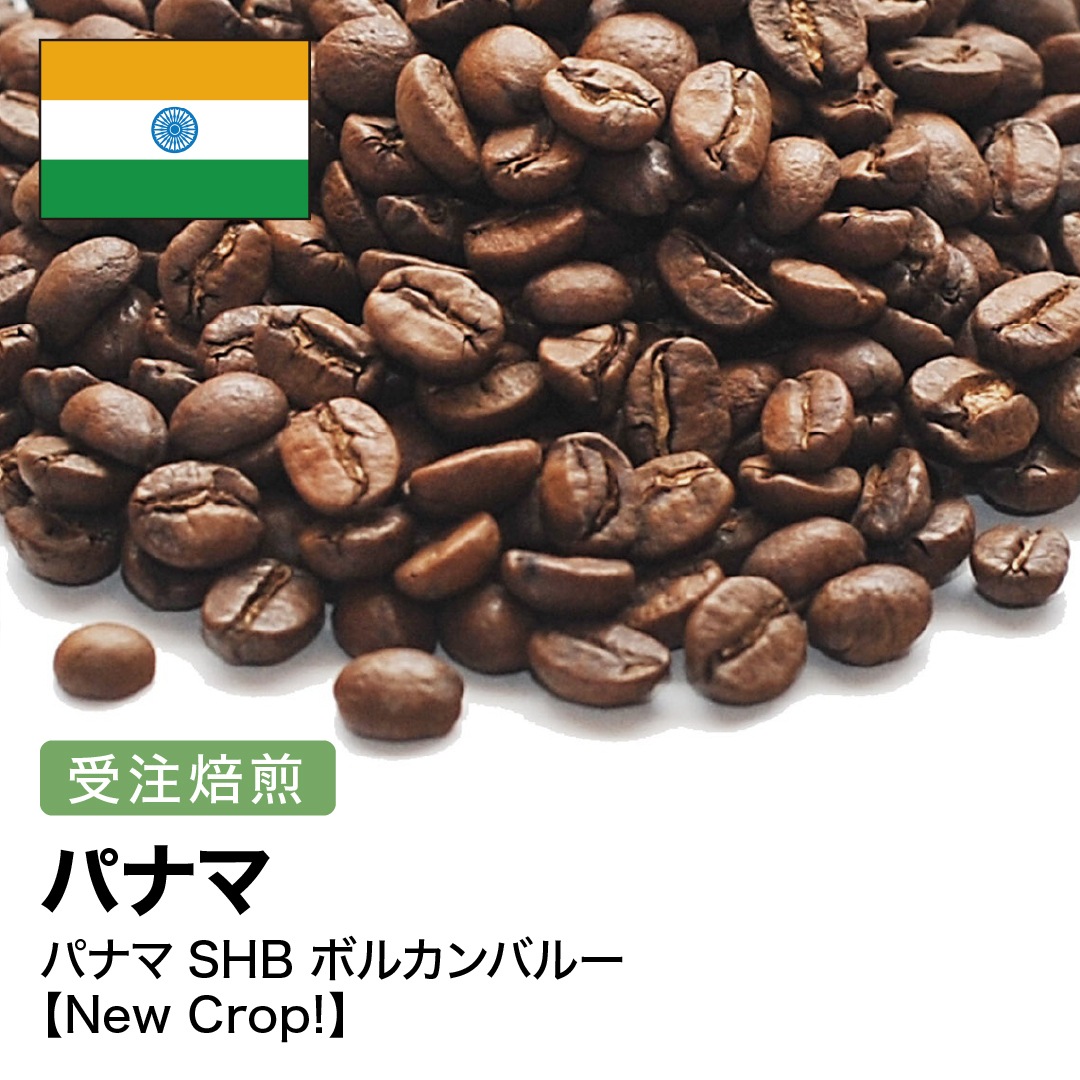 受注焙煎！2kg パナマSHB ボルカンバルー [選べる焙煎度合い] コーヒー豆 大山珈琲 業務用 自家焙煎 卸