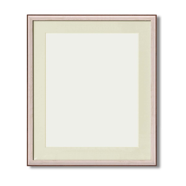 軽量 水彩額縁 フレーム F10号 ホワイト 壁掛けひも UV 紫外線カットアクリル マット付き 化粧箱入り 8155 額縁 額