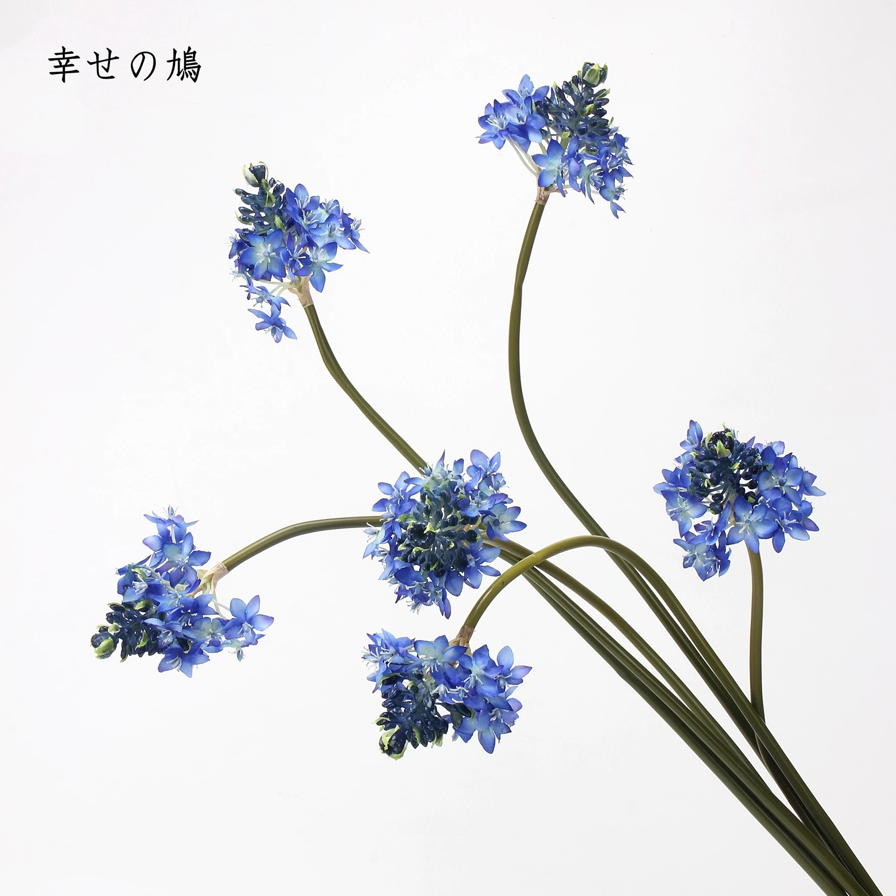 ベツレヘムの星 ベルベット 模擬植物 造花 小さな梅の花 濡れた感触 写真の小道具