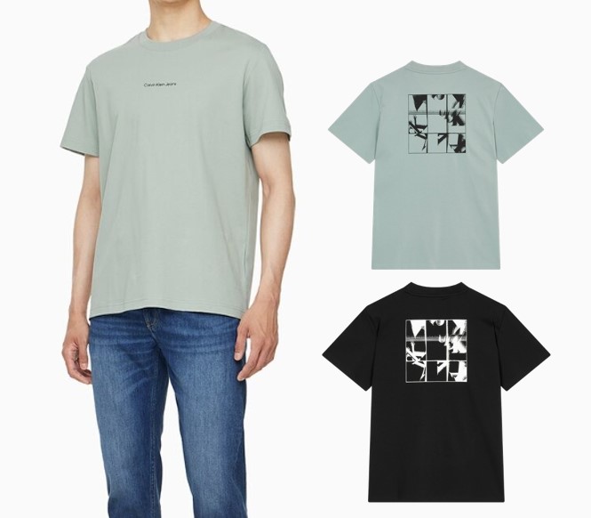 Regular Fit Graphic Short Sleeve T-shirt (J326029)
