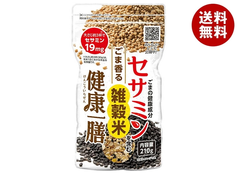 種商 健康一膳 210g×12袋入×(2ケース)