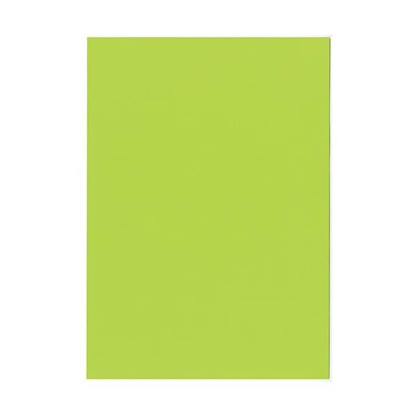 （まとめ）北越コーポレーション 紀州の色上質A4T目 薄口 みどり 1箱（4000枚:500枚8冊）3セット