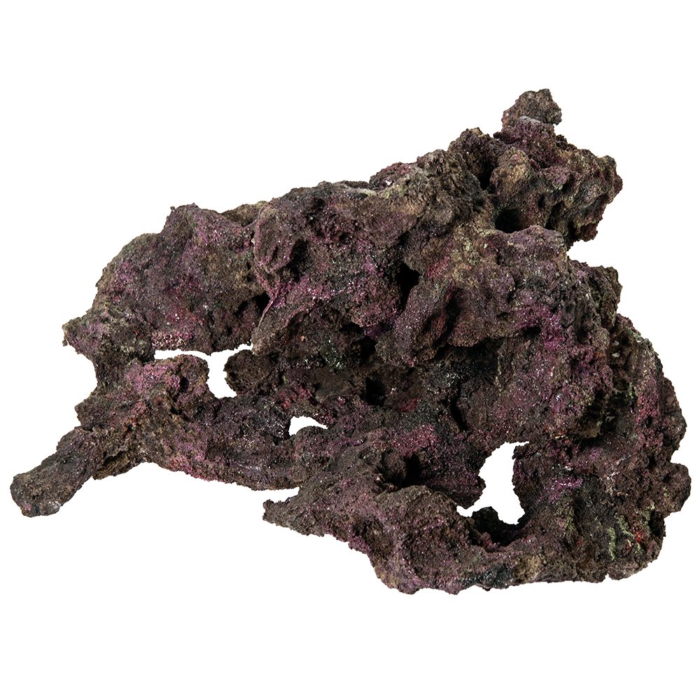 ＯＲＣＡ　ＯＣＥＡＮ　ＲＯＣＫ　２１　３９X３９X２８ｃｍ　ライブロックレプリカ　ＣＲＣ10―35―90―30―00