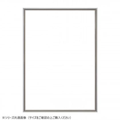大額 パネルフレーム アルパネ(5016)B-2シルバー