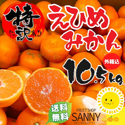 【1,599円】愛媛みかん 家庭用 10kg