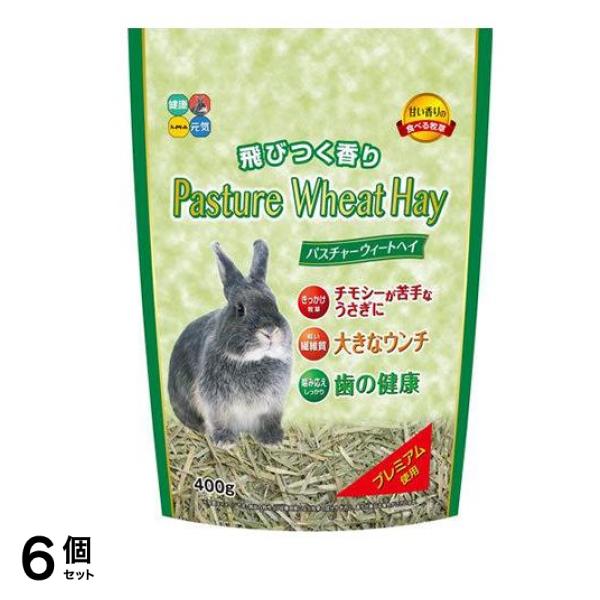 ハイペット 食べる牧草 パスチャーウィートヘイ 400g 6個セット