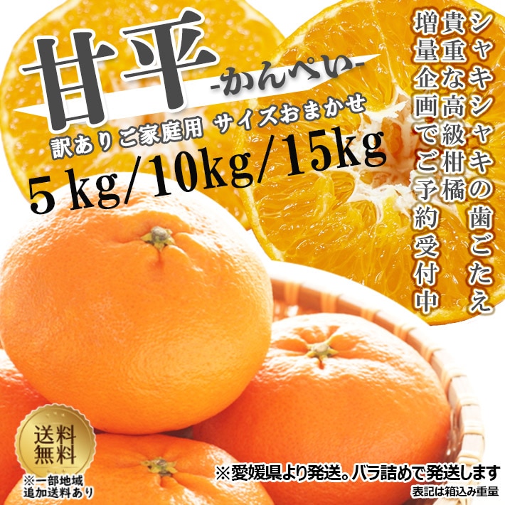定番入荷 せとか 箱含む5kg 佐賀/愛媛産 大きさおまかせ 柑橘 みかん