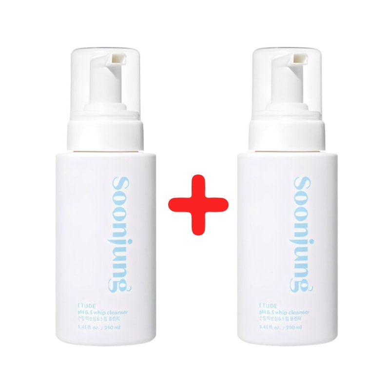 純正 弱酸性 6.5 ホイップ クレンザー 250ml+250ml / 大容量