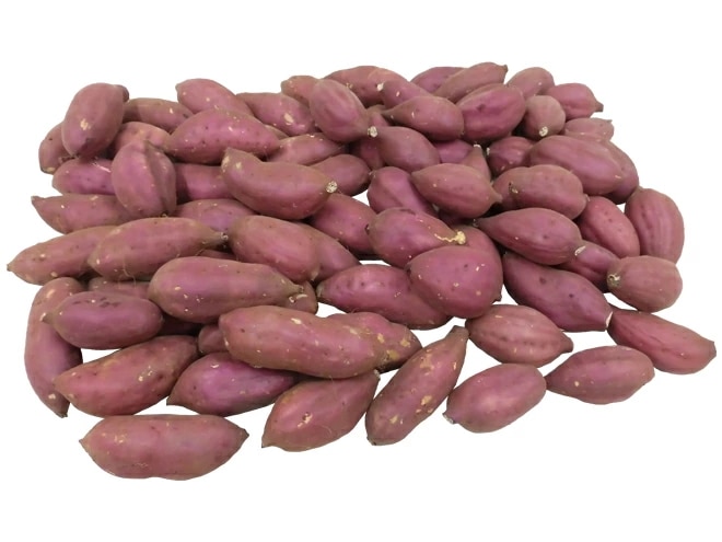 =さつまいも= 約10kg 千葉/茨城 訳あり 紅あずま/紅こがね/紅まさり/紅はるか 品種おまかせ