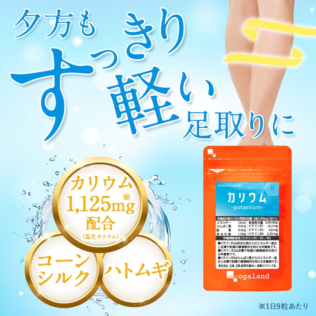 カリウム（6個セット約6ヶ月分）