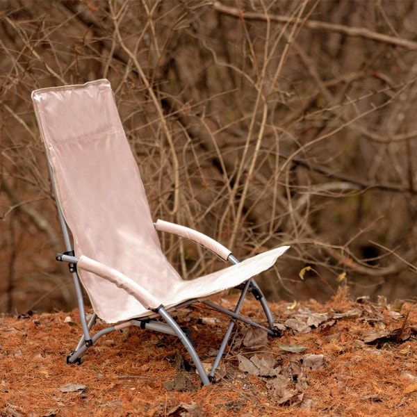 アイドゥーゲンの低い背もたれの椅子