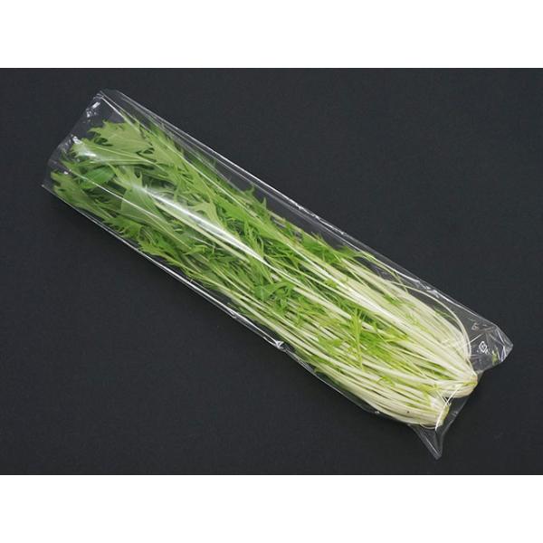 青果用袋 ベルグリーンワイズ FG20#150450 P入1000枚 4,880円