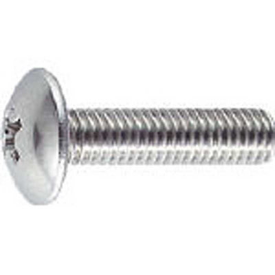 他サイト： トラスコ中山　トラス頭小ネジ ステンレス サイズM6×12 35本入　B520612の商品画像