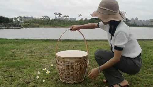 大容量断熱ピクニック バスケット 天然籐製品 保温保冷機能 かごバッグ 保冷バッグ おしゃピク かご