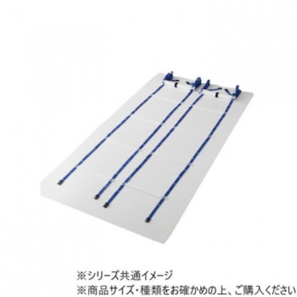 DANNO ダンノ ラダーL550(2本1組) D5307