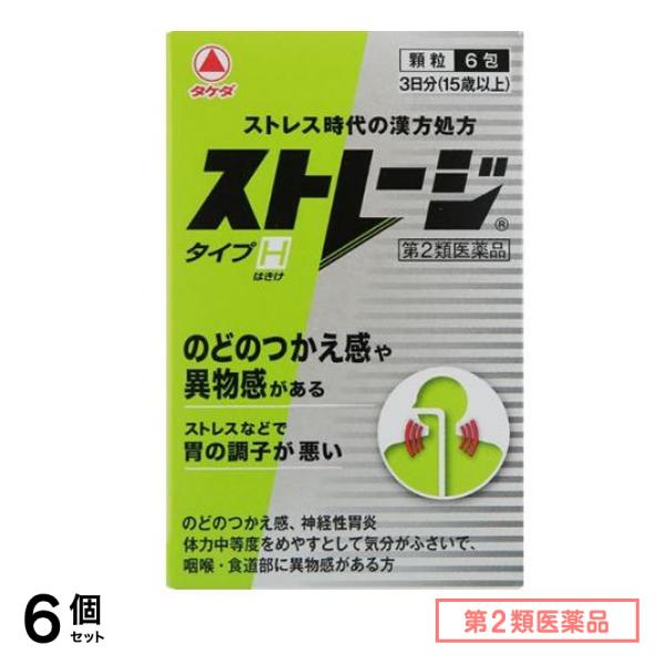 第２類医薬品 ストレージタイプH 6包 6個セット