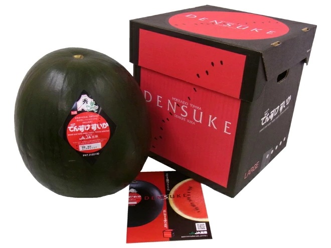 北海道当麻町 =でんすけスイカ= 秀品 4Lサイズ 約9-10kg 予約 7月中旬以降