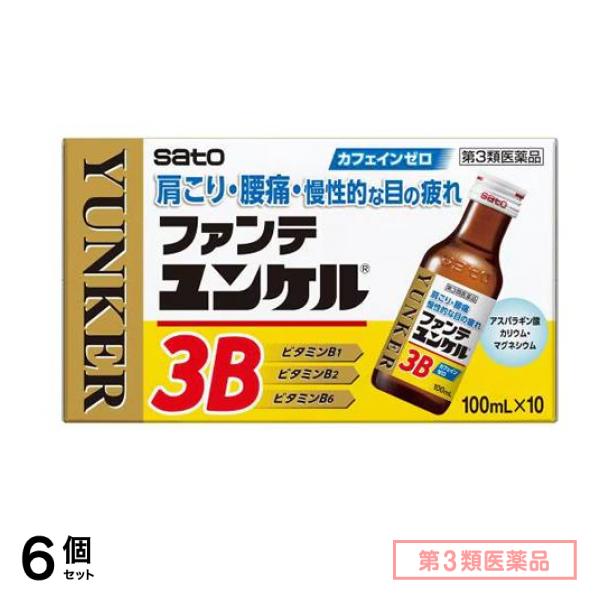 第３類医薬品 ファンテユンケル3B 100mL× 10本 6個セット