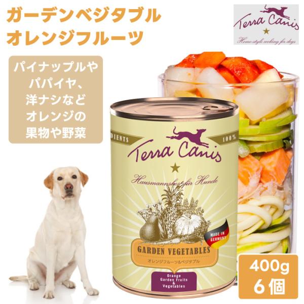 Terra Canis テラカニス ガーデンベジタブル オレンジフルーツ&ベジタブル 400g 6個 2400g ドッグフード 缶詰 ウェットフード
