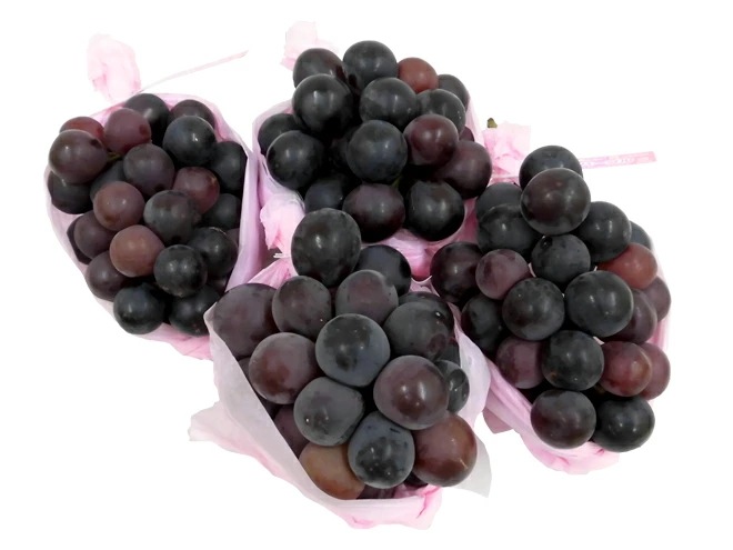 長野産 =ナガノパープル= 訳あり 約2kg 大きさおまかせ ぶどう 予約 9月以降