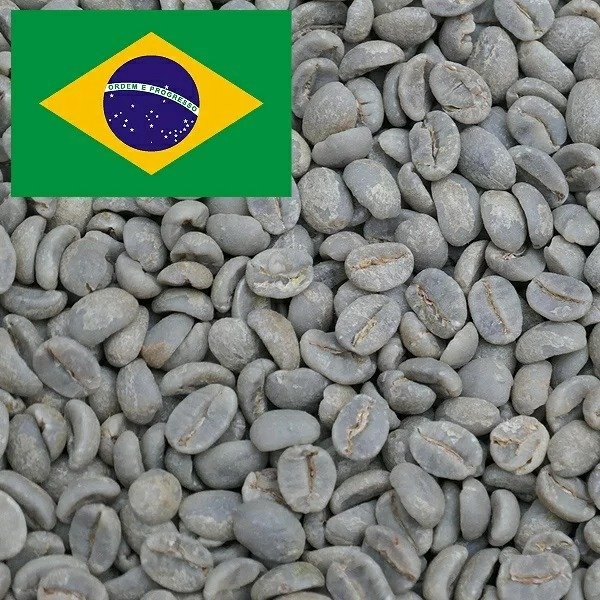 コーヒー生豆 5kg ブラジル ブルボン（BRAZIL BOURBON) Qグレード 大山珈琲