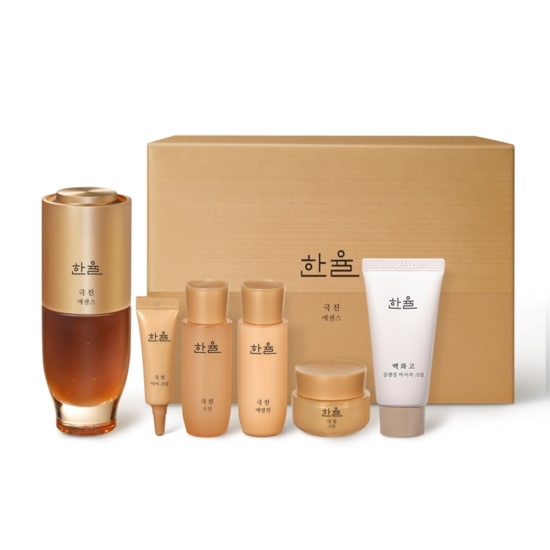 極真エッセンスセット