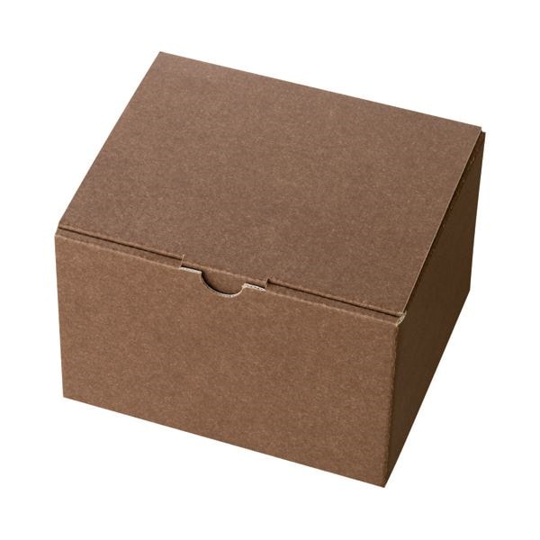 （まとめ） ヘッズ 無地ブラウンギフトボックス W163D140H110mm MBR-GB4 1パック（10枚） 10セット 12,969円