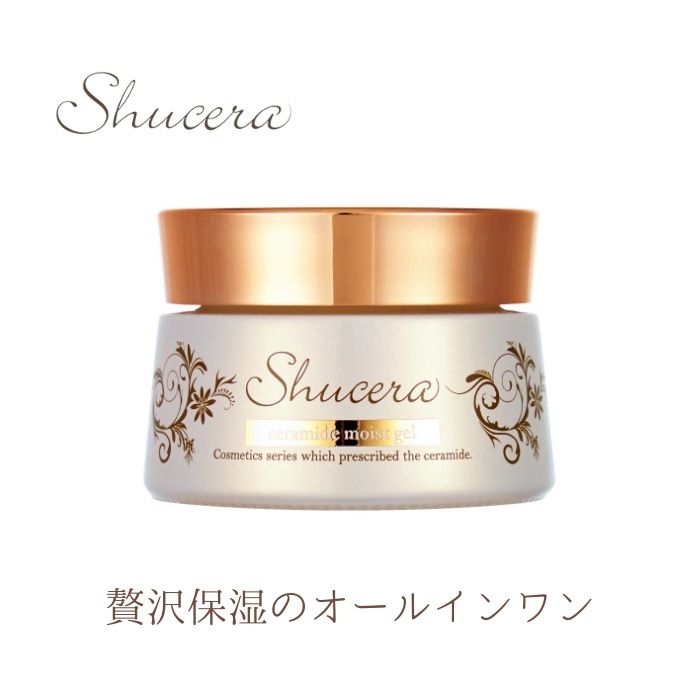モイストゲル 50g オールオンワン化粧品 ヒアルロン酸 ヒト型セラミド コラーゲン