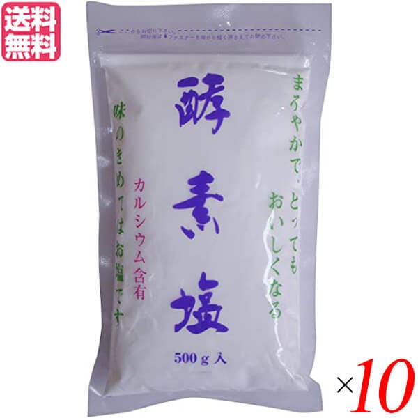 塩 天日塩 天然 酵素塩 500g 10袋セット