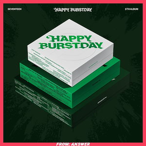 seventeen happy burstday