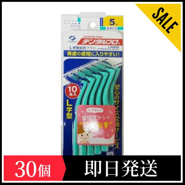 39％割引 【限定販売】 デンタルプロ 歯間ブラシL字型 普通タイプ 10本 (サイズ5(L)) 30個セット セール人気 その他 食品 -  parroquiadesannicolas.com