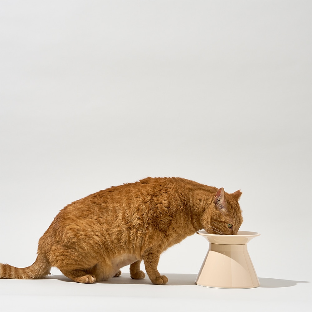 [Made in KOREA] キャットフードボウルスタンド単品 取り外し可能な皿別売り セラミック食器 重金属未検出 電子レンジ食器洗い機使用可能
