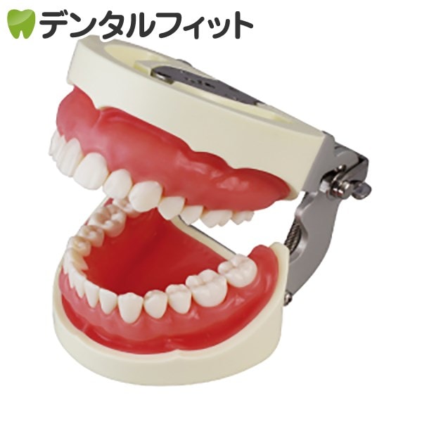補綴修復用顎模型 (NISSIN DENTAL MODEL) (D16FE-500A(GSF)-QF 23,414円