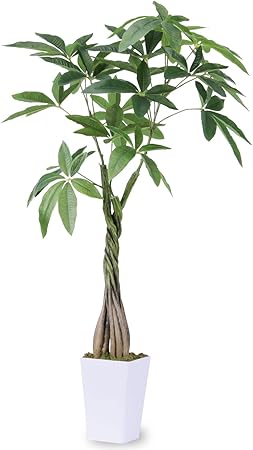 Ruwenus フェイクグリーン 人工観葉植物 観葉樹 造花 光触媒 空気清浄 【パ 7,559円