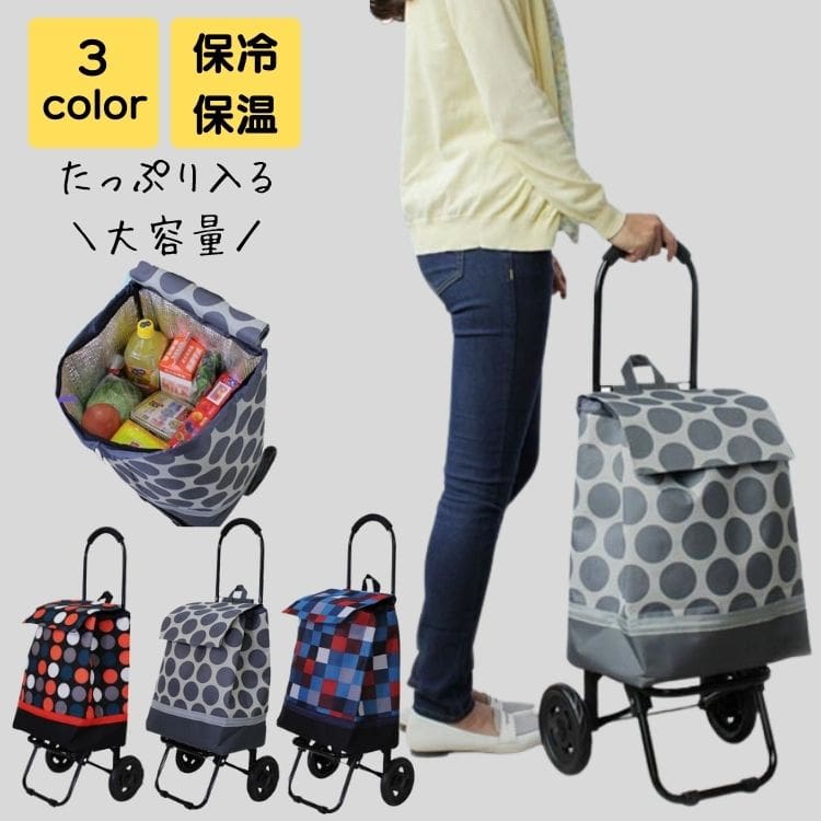 ショッピングカート 折りたたみ 保冷 高齢者 シニア ブランド 大容量 フェス レジャー キャリーカート キャリーバッグ 買い物カート 折り畳み キャリー エコバッグ フェス 40代 50代