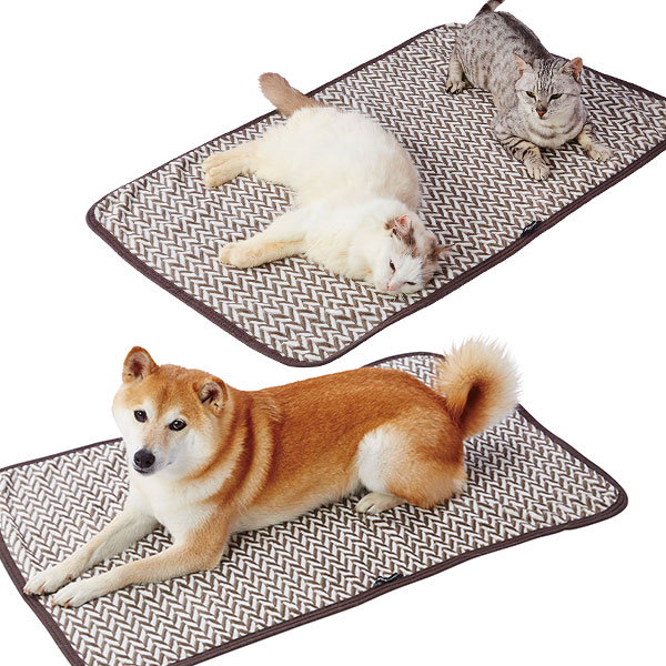 Qoo10] ペティオ 犬猫用毛布 両面ふわふわあったかブランケ