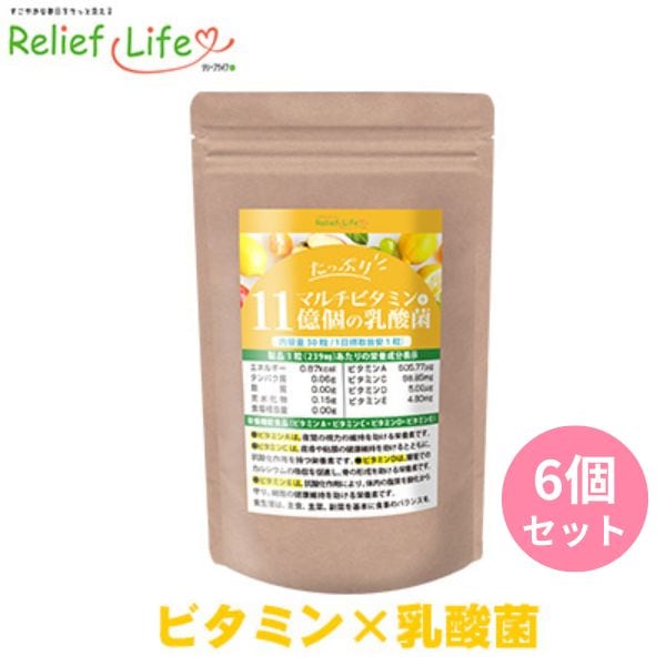 たっぷりマルチビタミン+11億個の乳酸菌 6個セット 酸菌 亜鉛 酵母 ビフィズス菌 植物発酵エキス 酵素 葉酸 ビタミン K2 C B12 A B1 B2 B6 D3 C