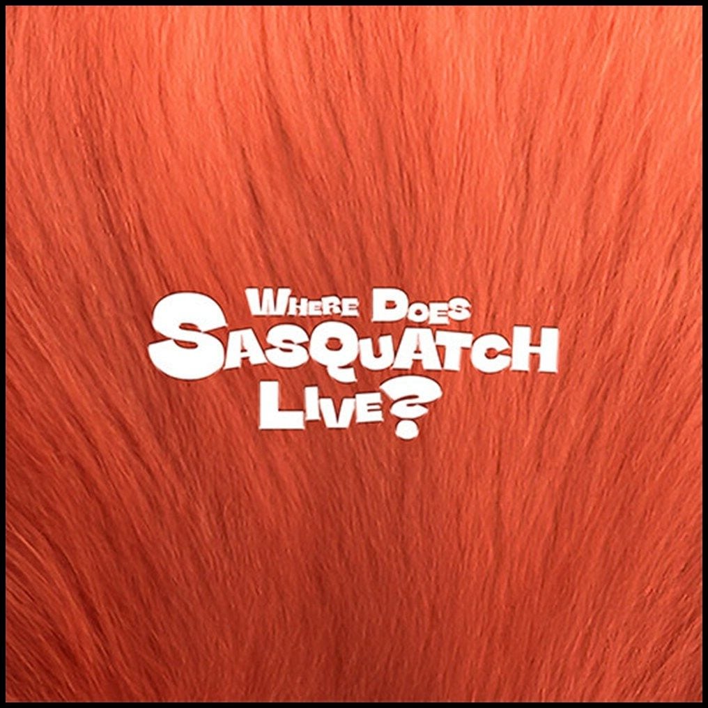 [未開封新品] [Zior Park] ジオルパック WHERE DOES SASQUATCH LIVE [2CD] / 洋装フォトブック+フォトカード2種+アースポスター