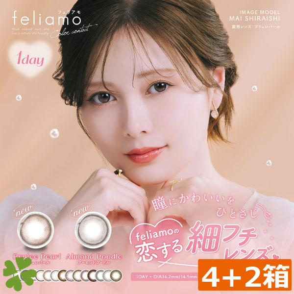 合計6箱　feliamo　フェリアモ　カラーコンタクト（10枚）　4箱　1day　カラコン