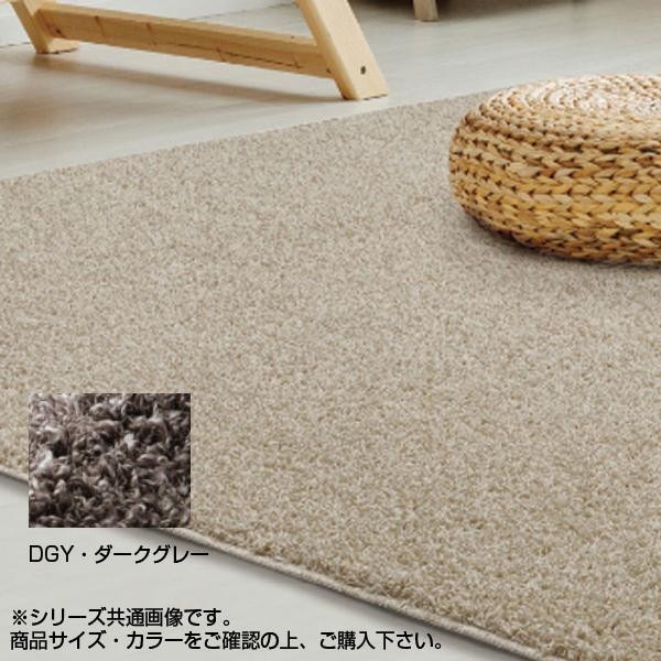 アスワン PTT繊維カーペット バルゴ 190×190cm DGY・ダークグレー CA617297