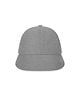 1883_Gray