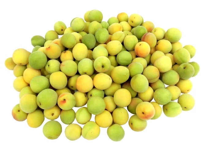 =紀州/和歌山産 南高梅 完熟= 秀品 L 約3kg 予約 6月以降