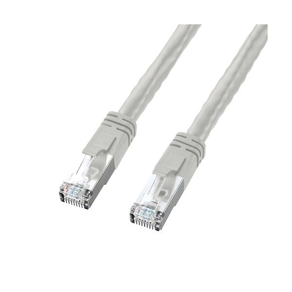 (まとめ)サンワサプライ PoECAT6LANケーブル KB-T6POE-10(×2セット)